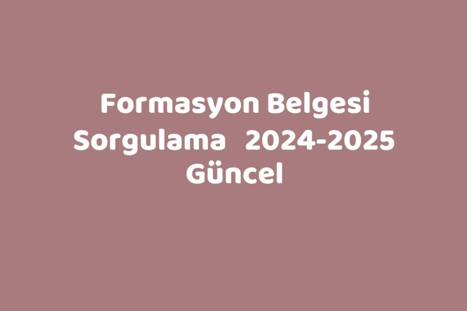 Formasyon Belgesi 20242025 Güncel TeknoLib