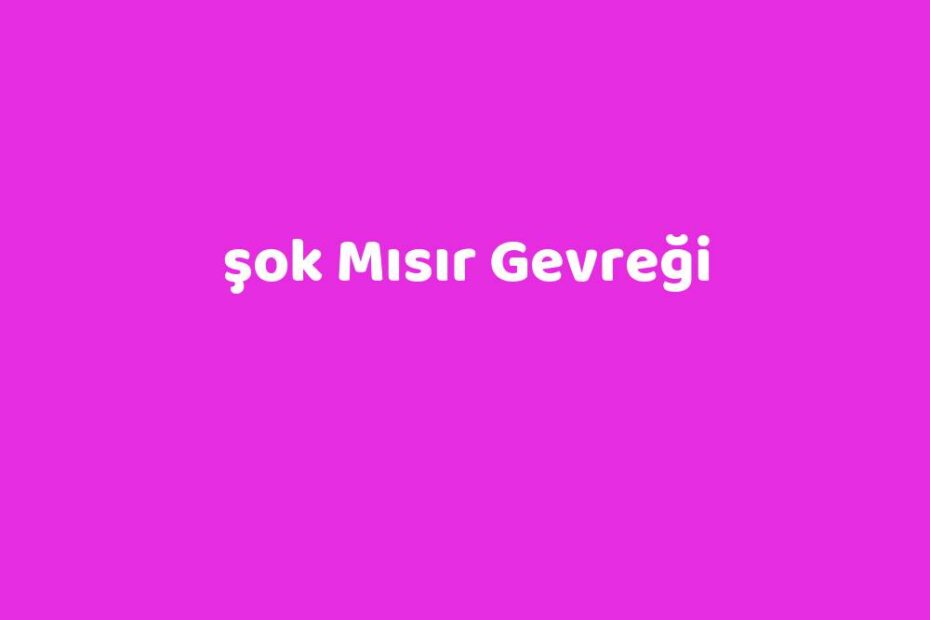 Şok Mısır Gevreği Teknolib